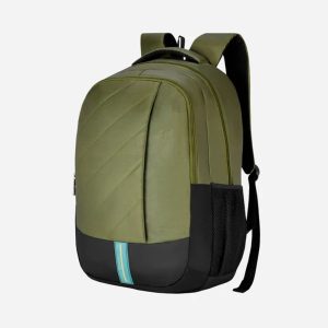 Pacsafe Backpack