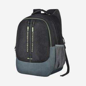 Pacsafe Backpack